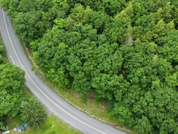 Property at L1.00 Cotton Hill Road, Middleburgh, NY 12023