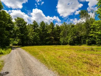 Property at L4.111 Anderson Road, Middleburgh, NY 12122