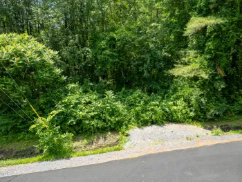 Property at 284-290 Burt Road, Moreau, NY 12828