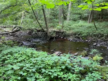 Property at L39 New York 10, Jefferson, NY 12167