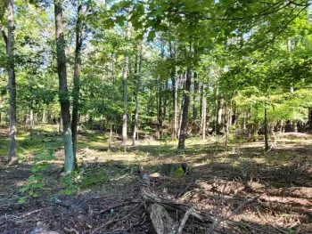Property at L20 High Hill Road, Coxsackie, NY 12051