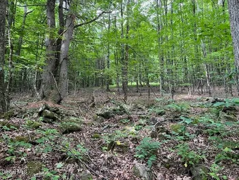 Property at L21 Fred Jensen Drive, Broome, NY 12122