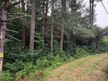 Property at L1 Nine Mile Tree Road, Mayfield, NY 12117