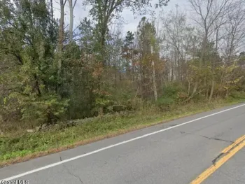 Property at L10.10 State Route 85, Westerlo, NY 12193