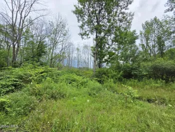 Property at L28.03 Halbert Hill Road, Butternuts, NY 13843