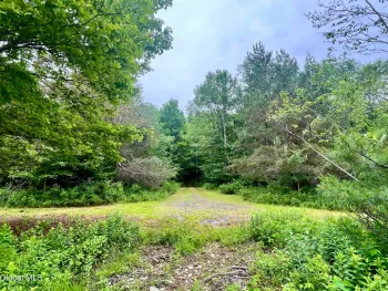 Property at 2285 State Route 10, Jefferson, NY 12093