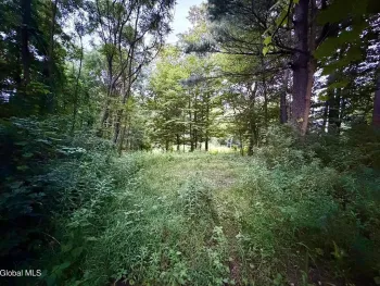 Property at 2-38.11 Spring Avenue, Gloversville, NY 12078