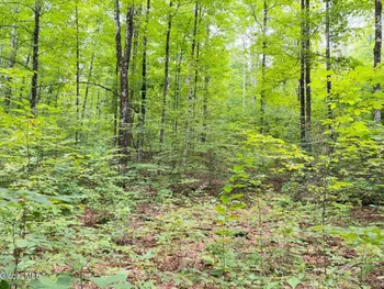 Property at L4 Middle rd/e OFF, Hebron, NY 12865