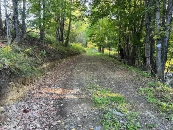 Property at L1.12 Rossman Fly Road, Summit, NY 12175