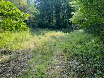 Property at L6 Burtonville Road, Charleston, NY 12072