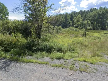 Property at L10.1 Kelsey Pond Lane, Fort Ann, NY 12827