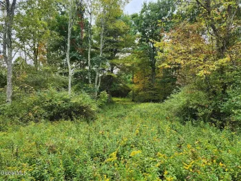 Property at L15.4 Bogtown Road, Hebron, NY 12865