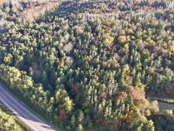 Property at L21 State Route 243, Rushford, NY 14777