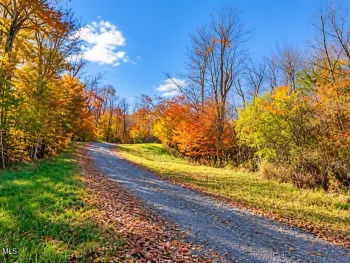 Property at 307 E Hollow Road, Petersburgh, NY 12138