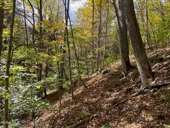 Property at 140 Stonewall Path, Conesville, NY 12076