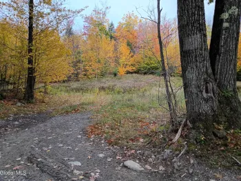 Property at L29.13 Fire Tower Road, Grafton, NY 12138