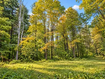 Property at Lot 3 Massachusetts 41, Richmond, MA 01254