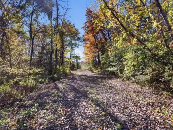 Property at L16.002 County Route 77, Greenwich, NY 12834