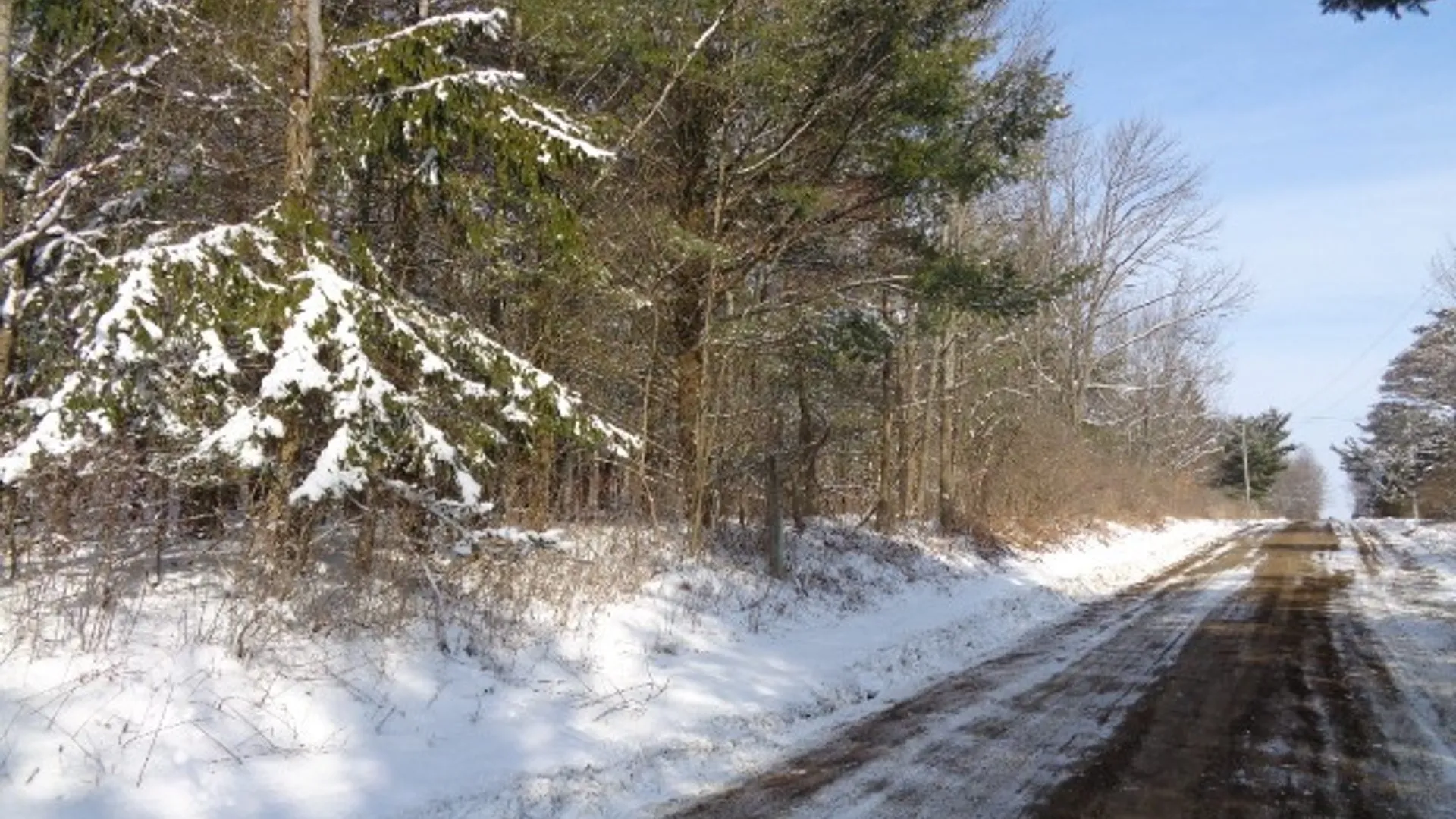 Property at 5151 Landis Road, Hartsville, NY 14843 5