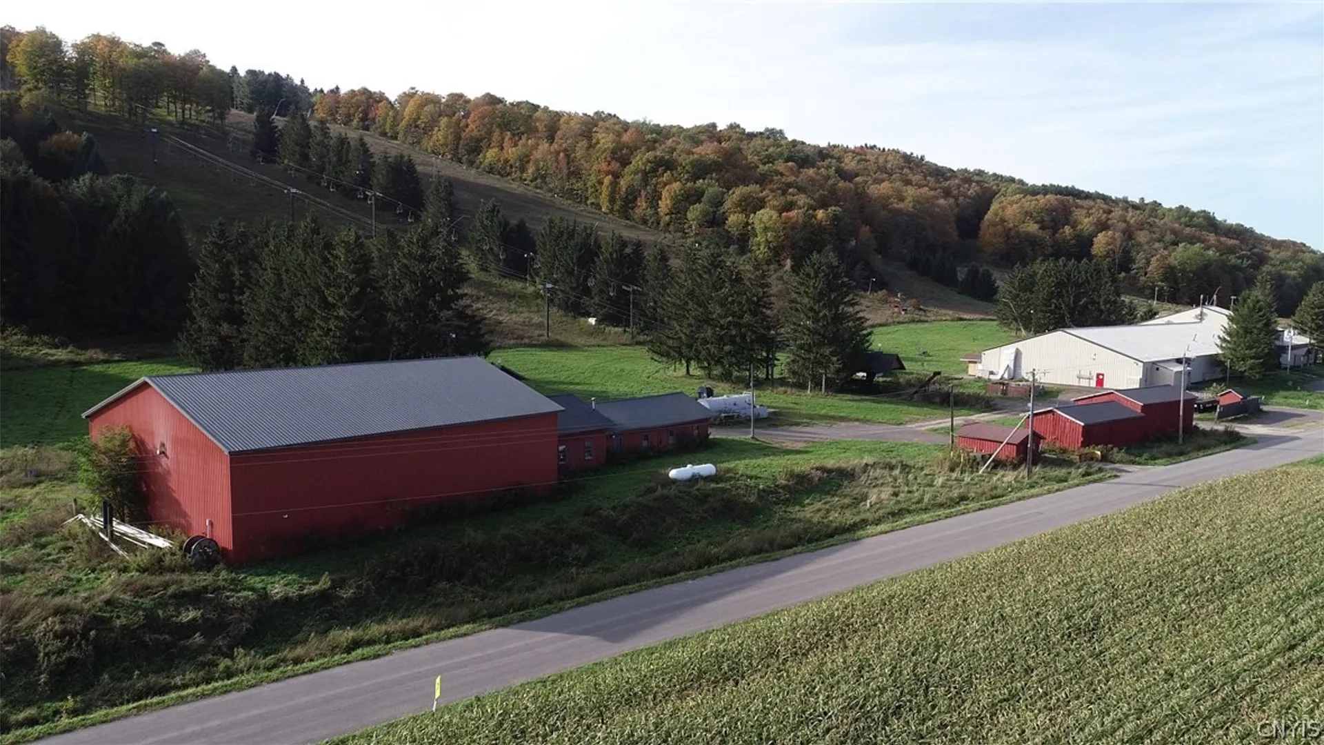 Property at 1135 Toggenburg Road, Fabius, NY 13063 9