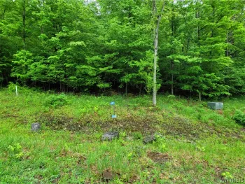 Property at 0 Co Road 24- Lot 12, Grove, NY 14884