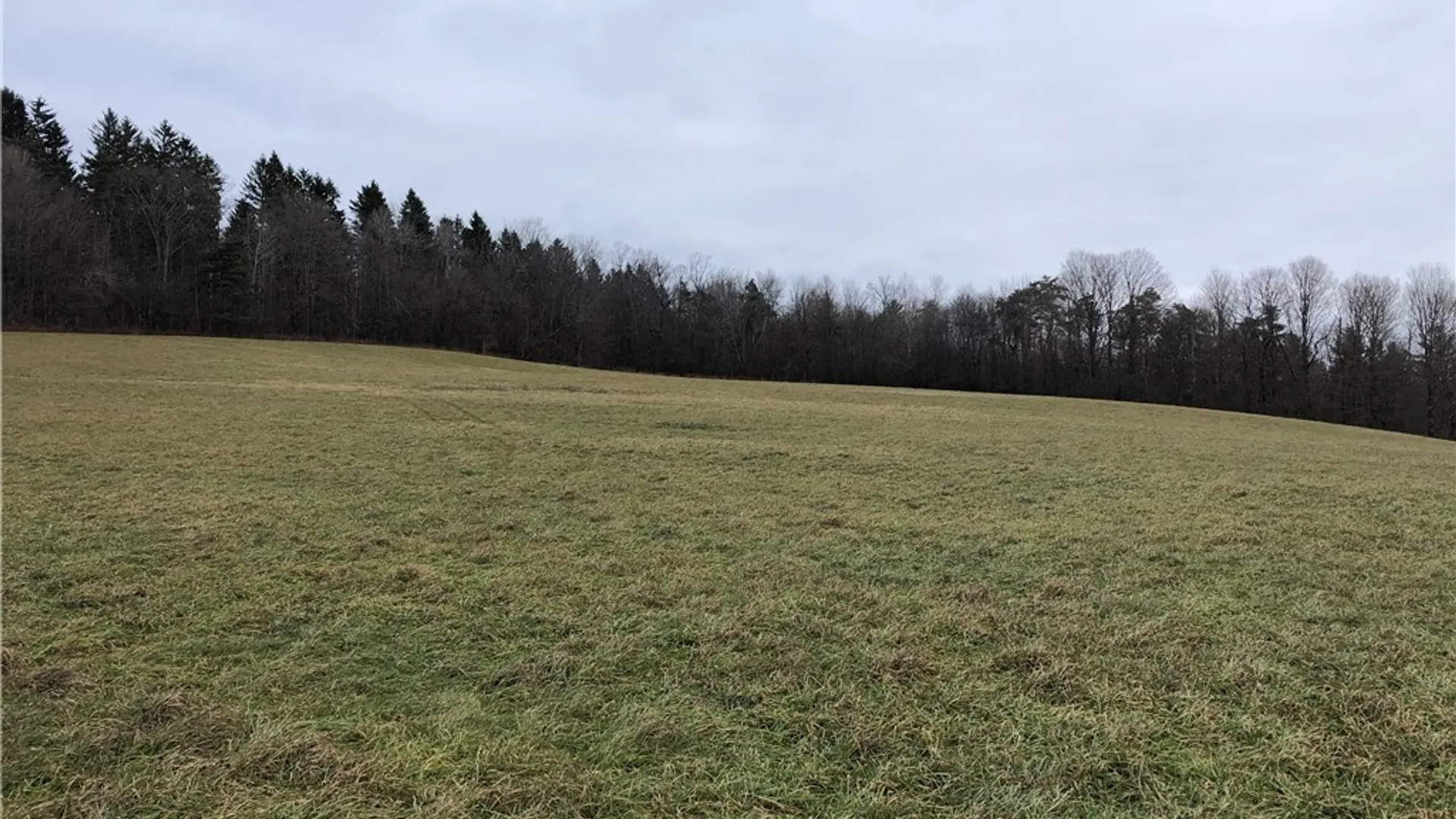 Property at 5073 S Lebanon Road, Lebanon, NY 13332 6