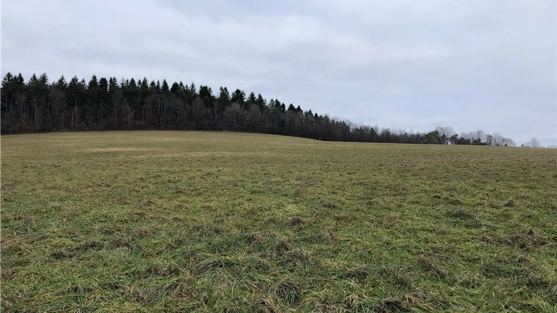 Property at 5073 S Lebanon Road, Lebanon, NY 13332 11