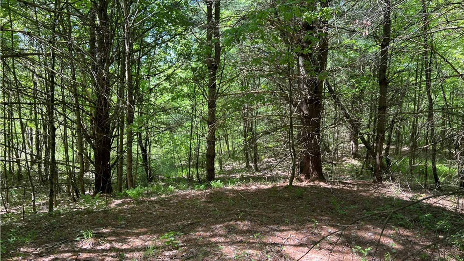 Property at 5219 Rome Taberg Road, Rome, NY 13440 7