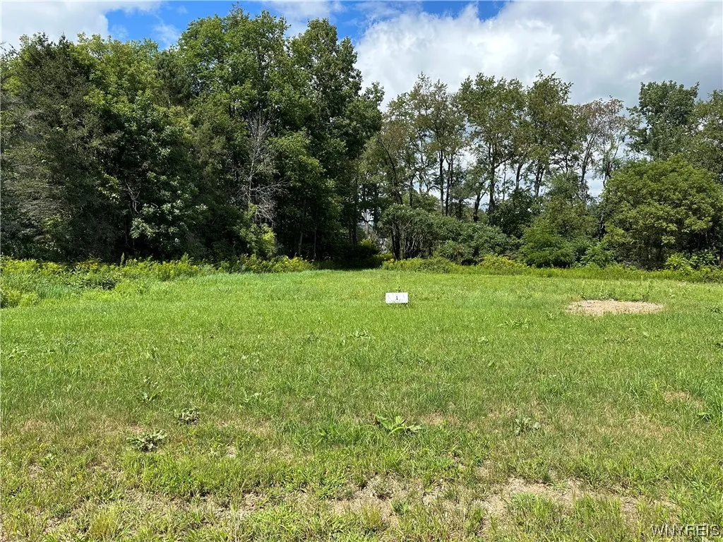Property at Lot 1 Tanglewood Development, Allegany, NY 14706