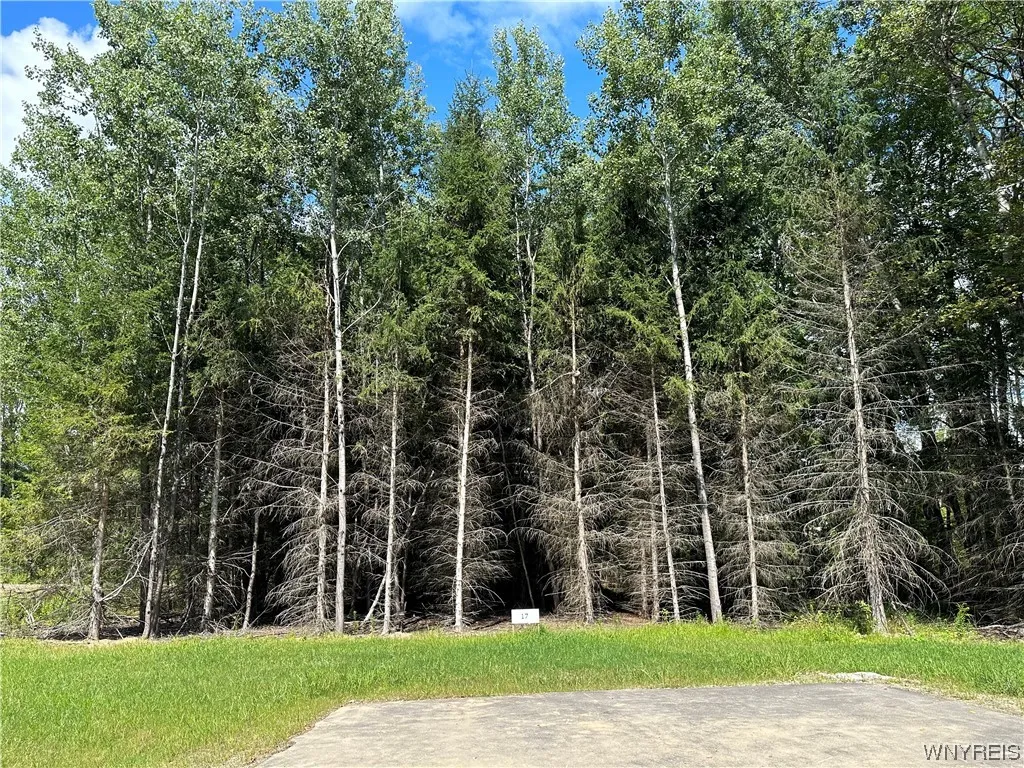Property at Lot 17 Tanglewood Development, Allegany, NY 14706