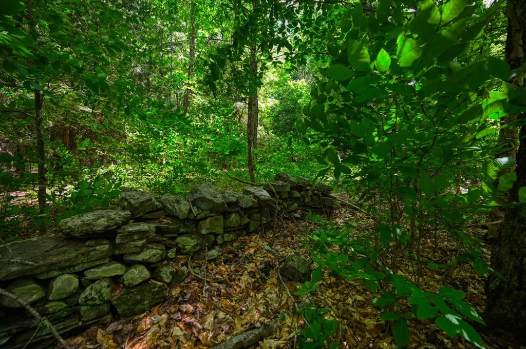 Property at 0 McCulley Hts, Davenport, NY 13750