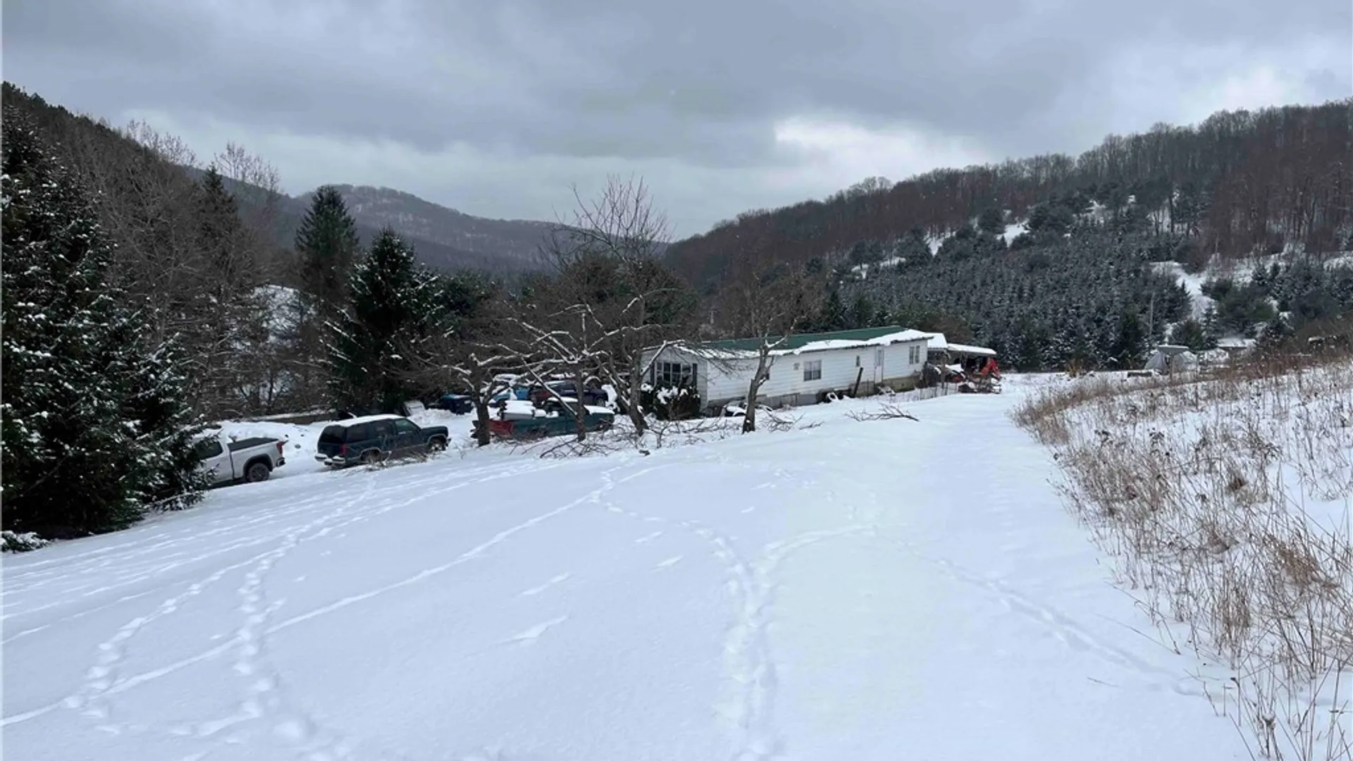 Property at 451 Horse Run Road, Bolivar, NY 14754 32