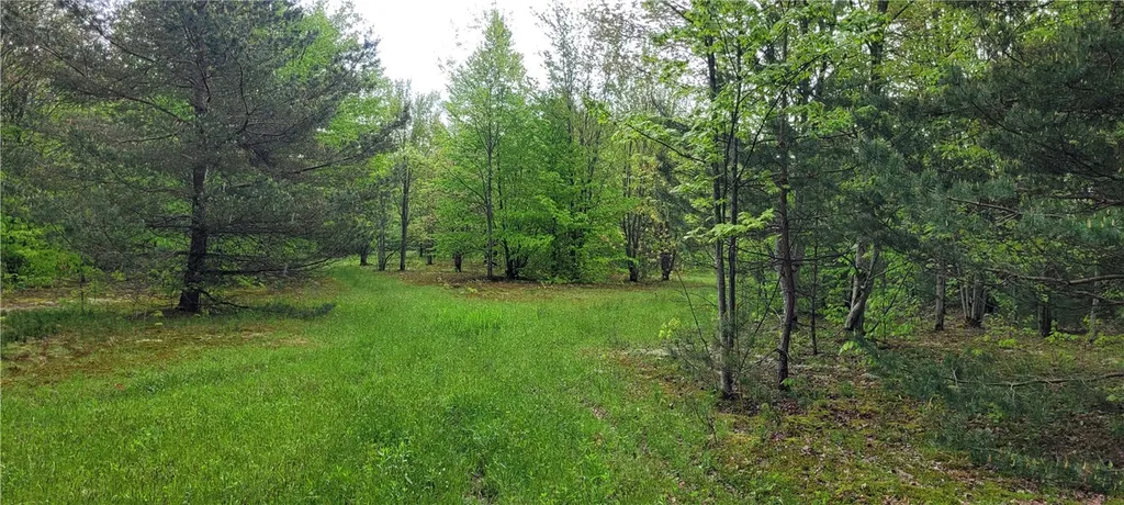 Property at 0 Thayer Road, Erin, NY 14838