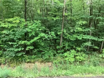 Property at 101 Butterfield Road, Lisle, NY 13835