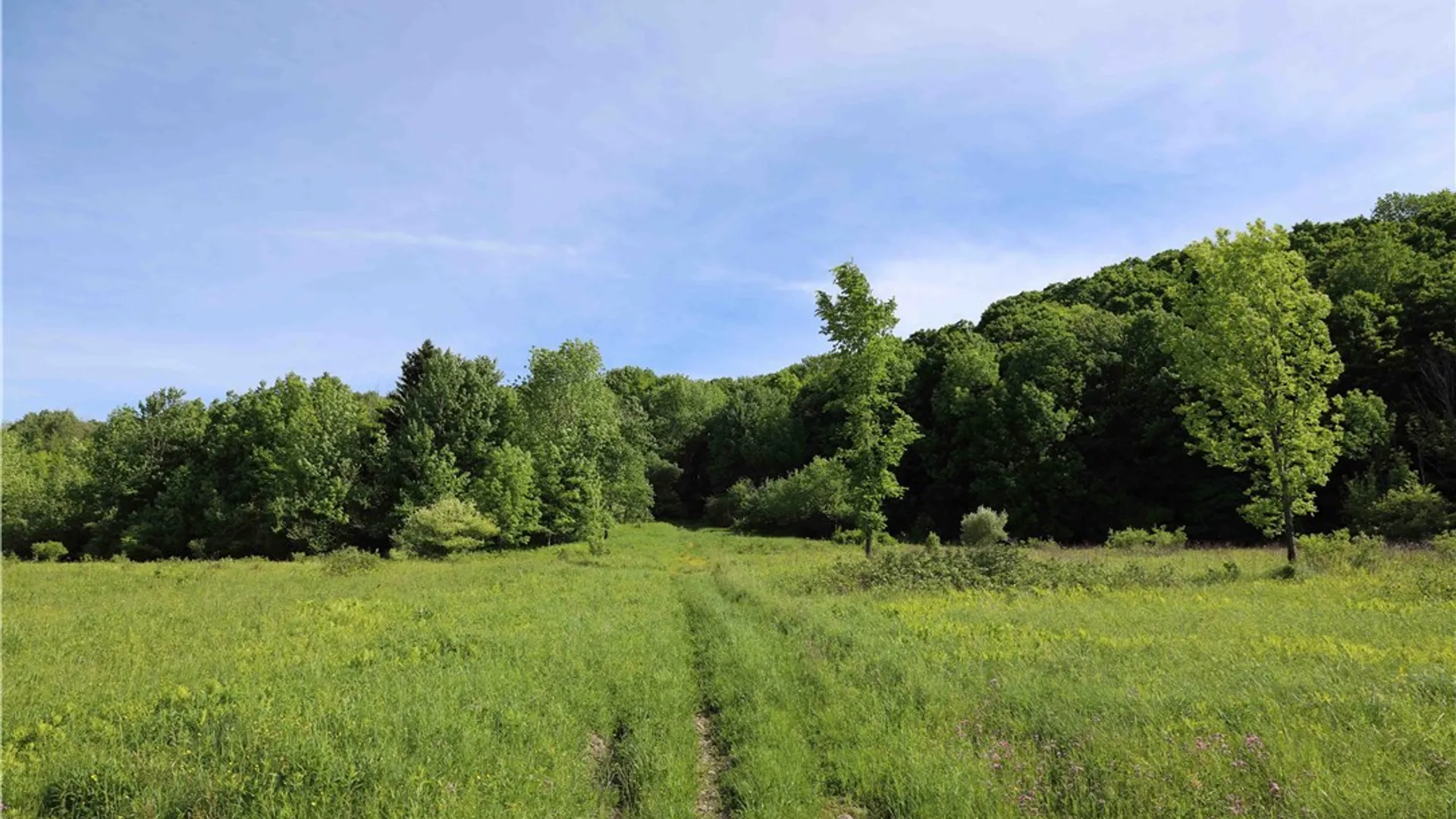 Property at L100 State Route 13, Cuyler, NY 13052 13