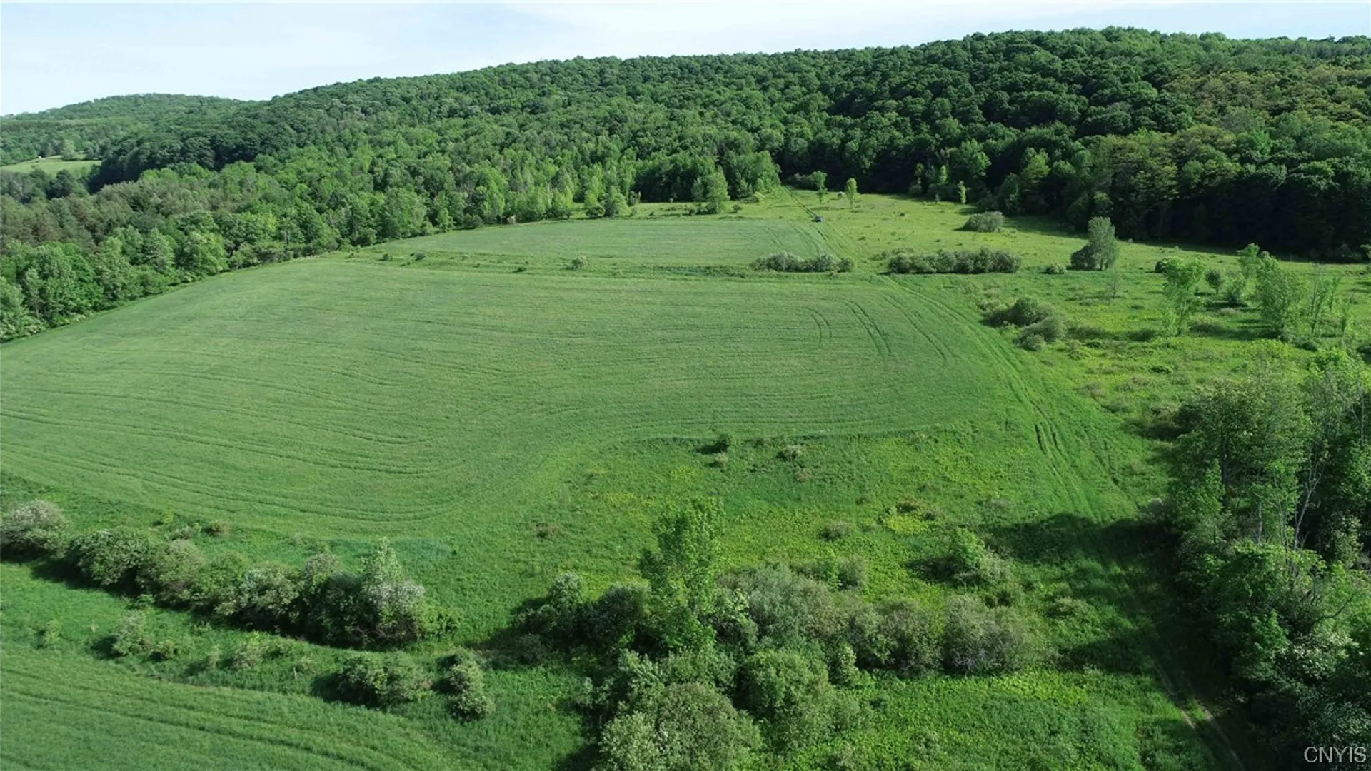 Property at L100 State Route 13, Cuyler, NY 13052 12