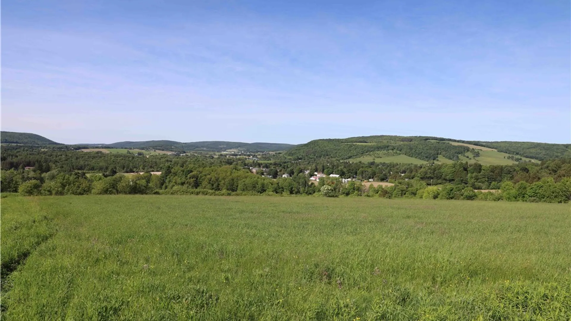 Property at L100 State Route 13, Cuyler, NY 13052 15