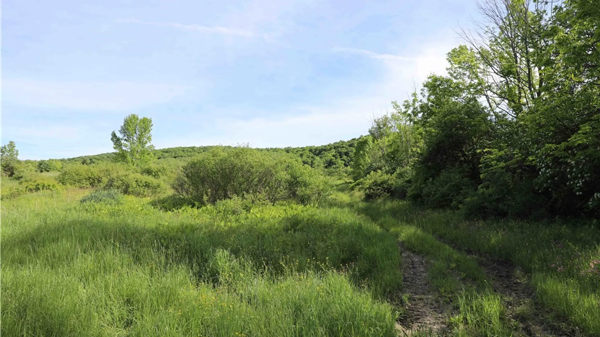 Property at L100 State Route 13, Cuyler, NY 13052 16