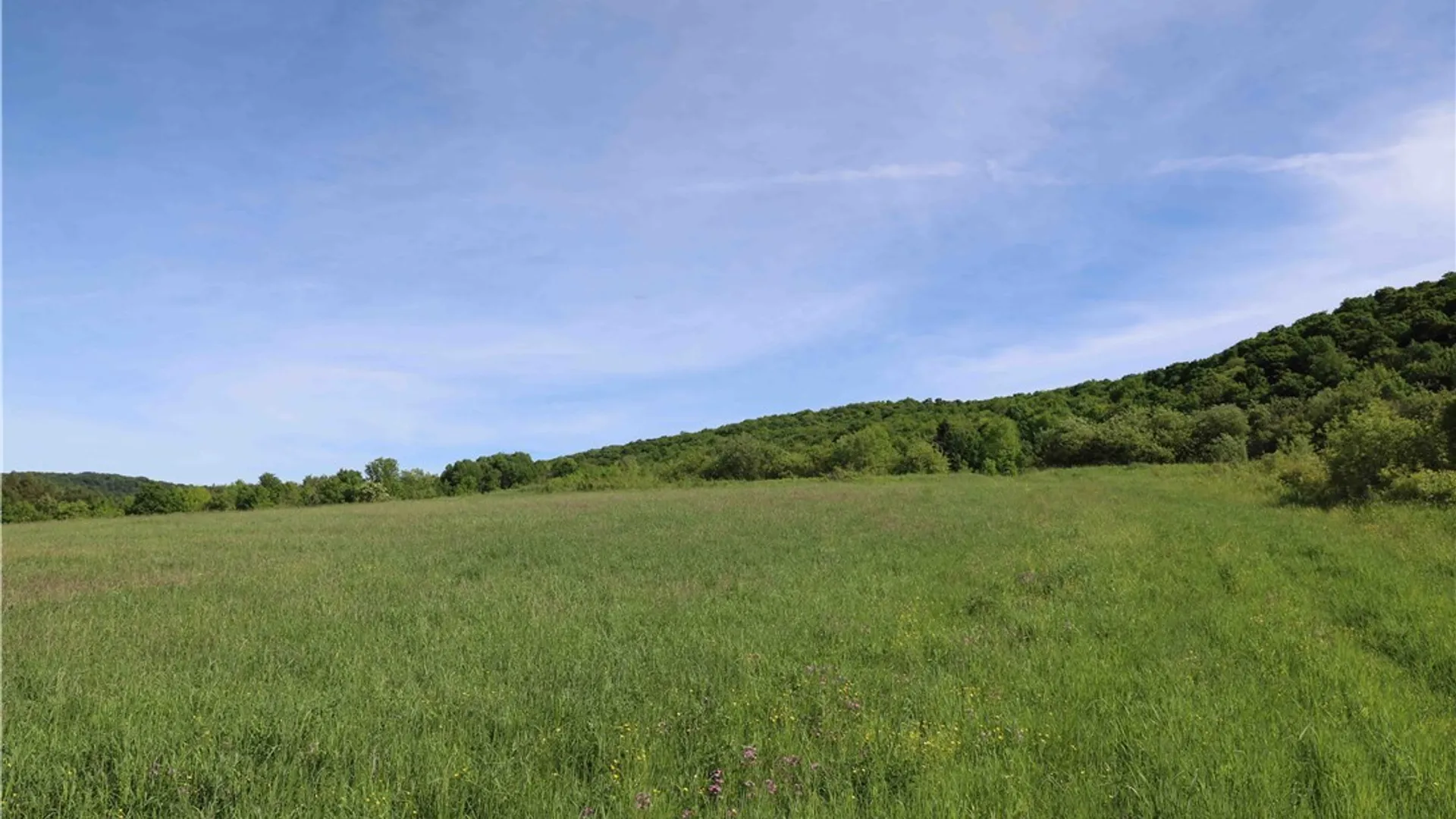 Property at L100 State Route 13, Cuyler, NY 13052 17