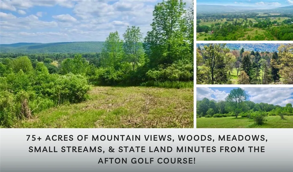 Property at Lot 30 Algerine Street, Afton, NY 13730