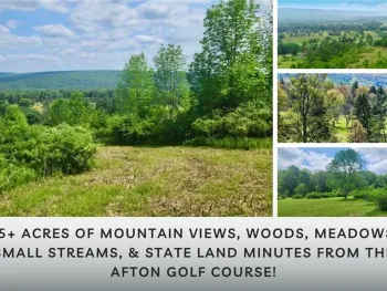 Property at Lot 30 Algerine Street, Afton, NY 13730