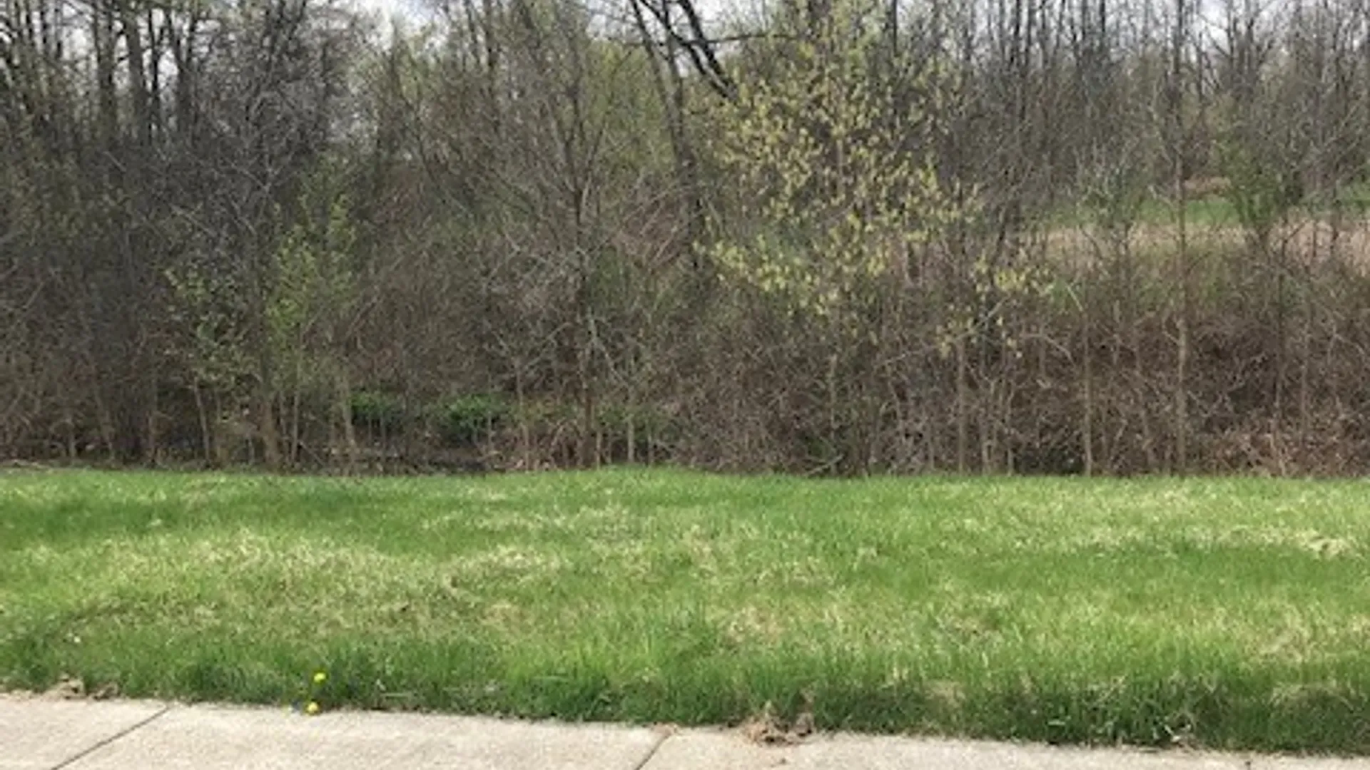 Property at 1386 Hathaway Drive, Farmington, NY 14425 12