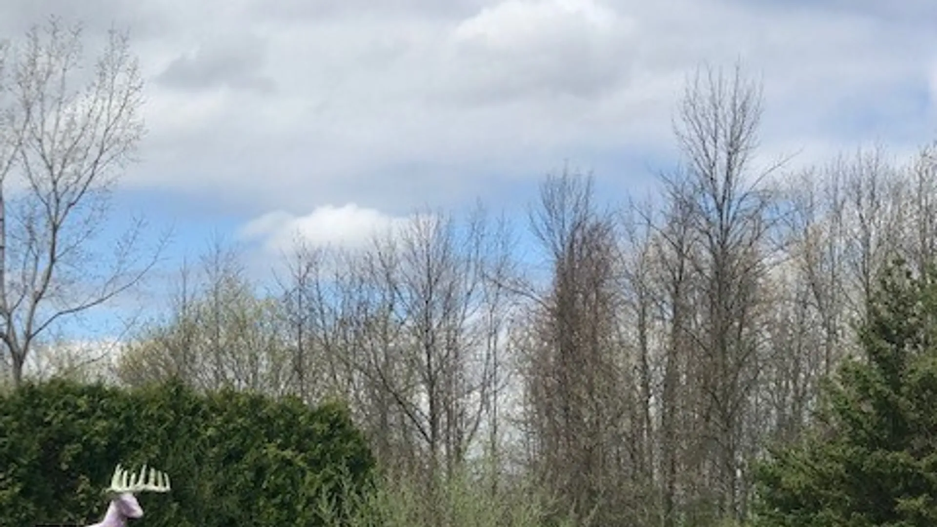 Property at 1386 Hathaway Drive, Farmington, NY 14425 13