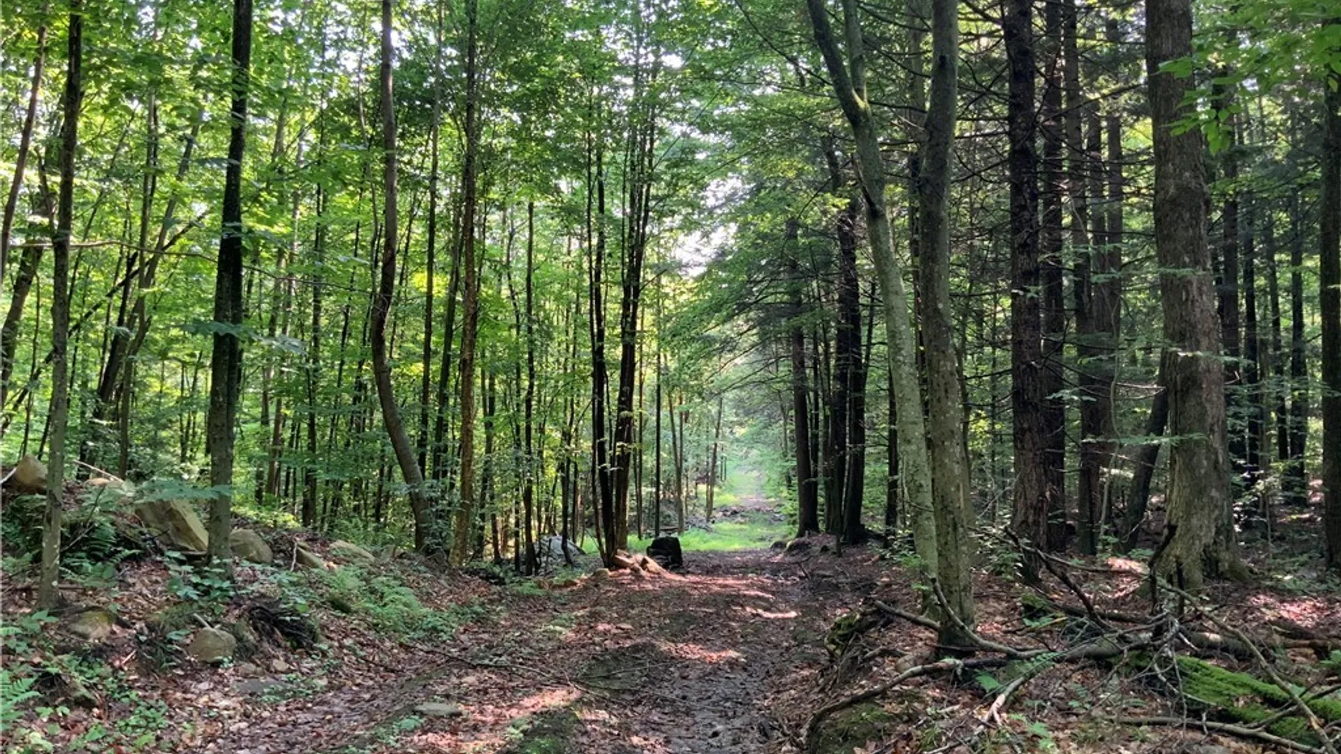 Property at 25 Lincoln Mountain Road, Greenfield, NY 12833 3