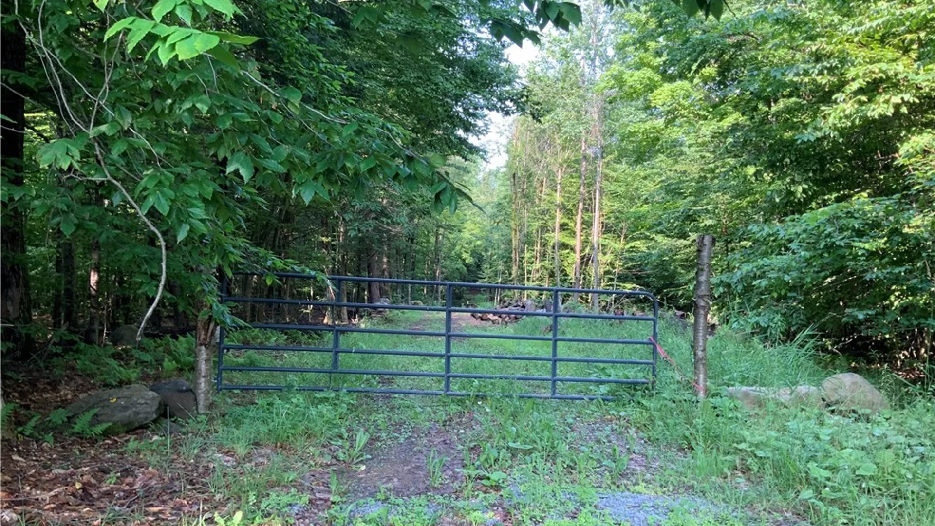 Property at 25 Lincoln Mountain Road, Greenfield, NY 12833 7