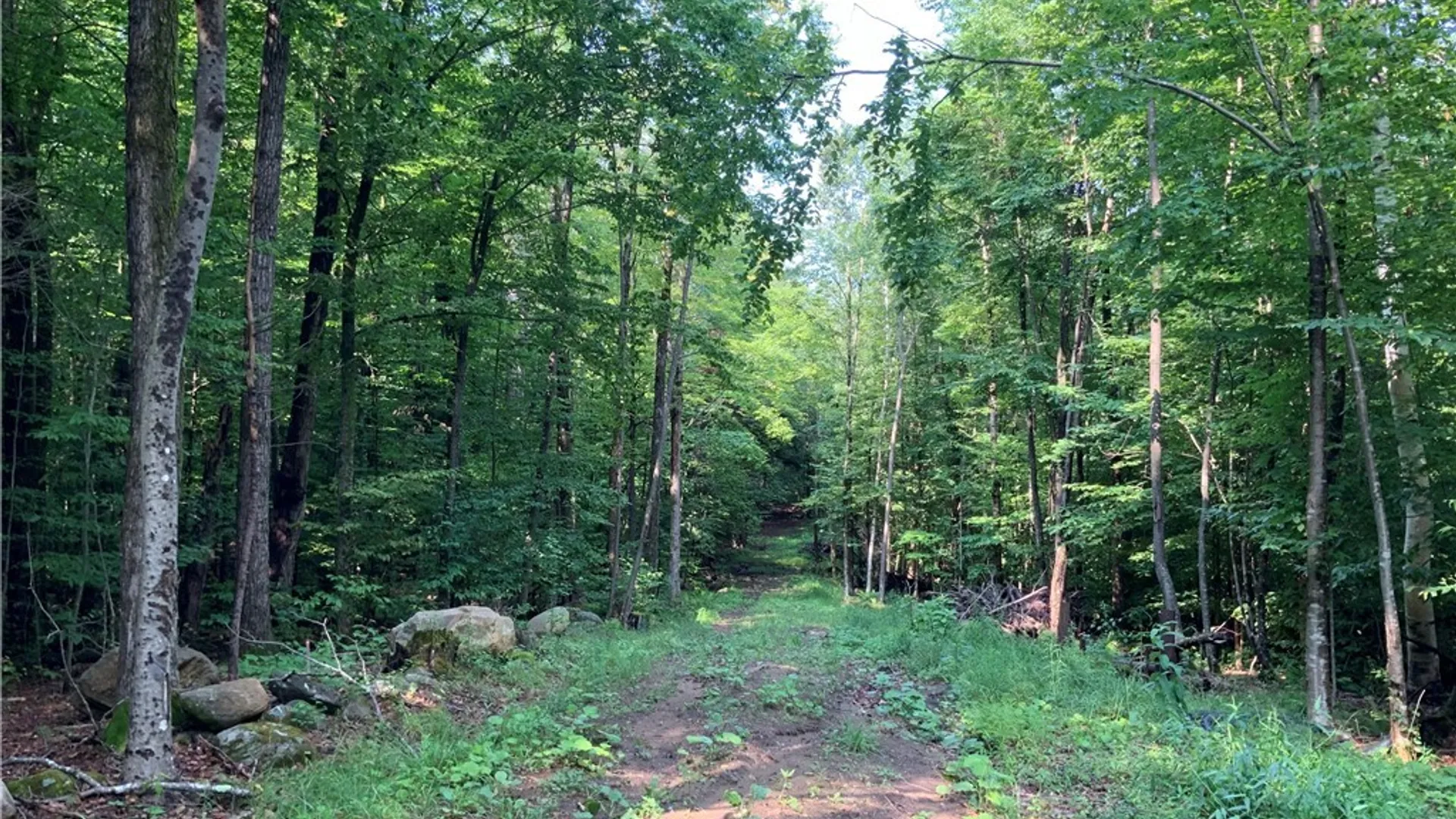 Property at 25 Lincoln Mountain Road, Greenfield, NY 12833 8