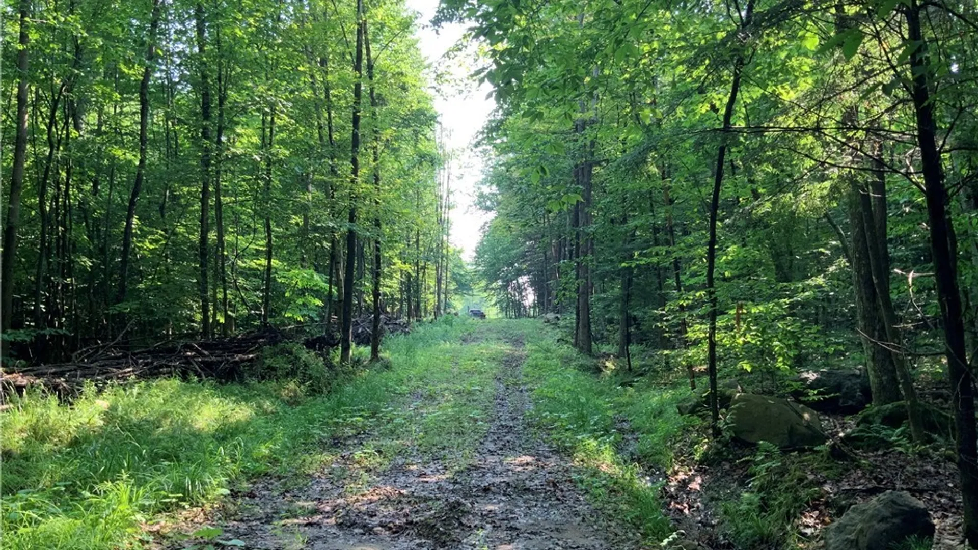 Property at 25 Lincoln Mountain Road, Greenfield, NY 12833 9