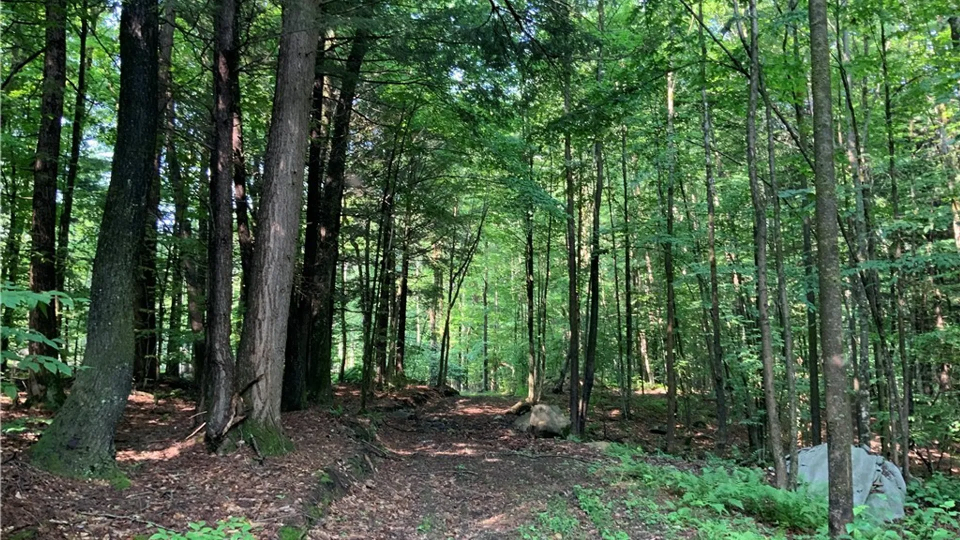 Property at 25 Lincoln Mountain Road, Greenfield, NY 12833 10