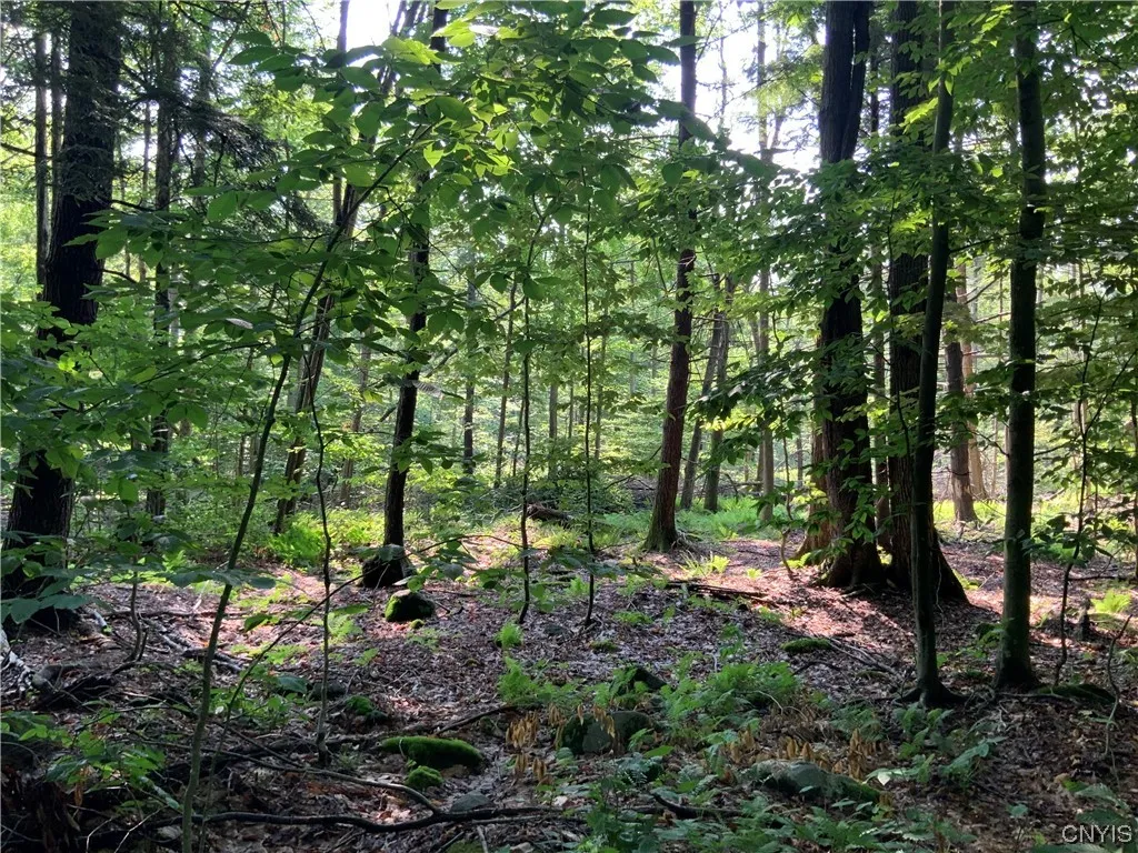 Property at 25 Lincoln Mountain Road, Greenfield, NY 12833