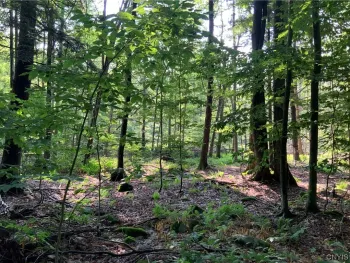 Property at 25 Lincoln Mountain Road, Greenfield, NY 12833